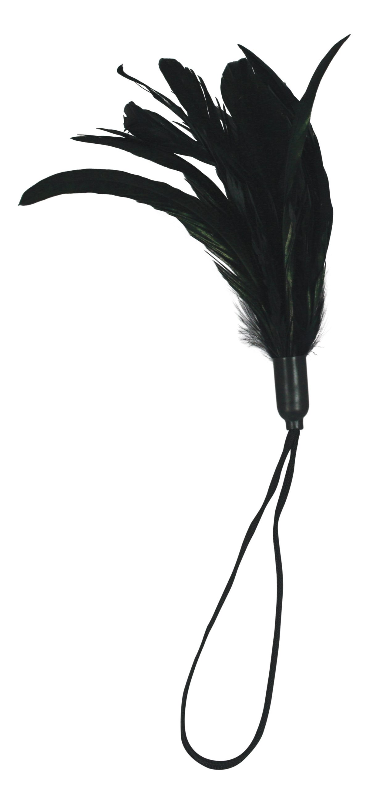 0bnVqpRuKCG3yt3KnMJJIHRvvK4VfvYC Pleasure Feather - Black - Image 1