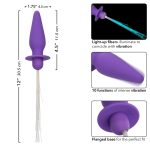 Southern Lights - Vibrating Light Up Anal Probe - Purple - Image 3
