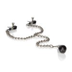 Weighted Nipple Clamps - Image 3