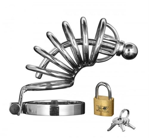 2138a7f08a310aa8ae26e54acb98967d Asylum 6 Ring Locking Chastity Cage - Medium/large - Image 1