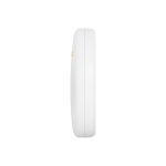 Creamsicle - Image 4