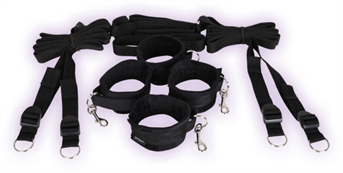 3d2beaaed702d04917131faeef1f916c Under the Bed Restraint System - Image 1