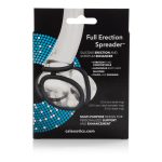 Full Erection Spreader - Image 3