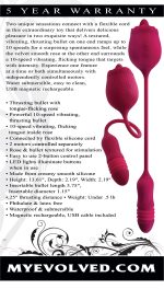 Wild Rose - Red - Image 7