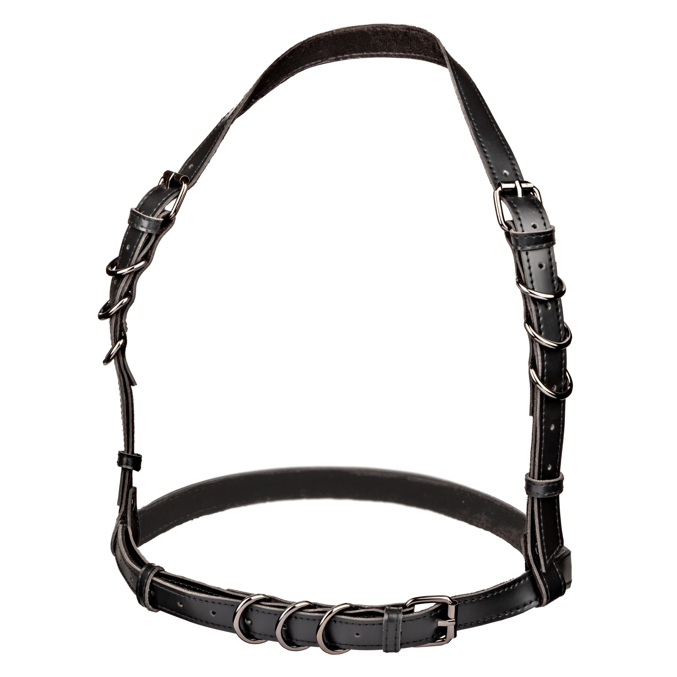 9JL9gshrFspfZrI3NHW8NnDn8ekfbYIb Euphoria Collection Halter Buckle Harness - Black - Image 1