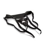 Her Royal Harness the Queen - Boxed - Image 2