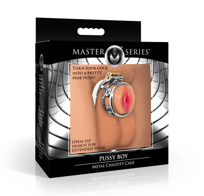 BvfzyCYV Pussy Boy Metal Chastity Cage - Silver - Image 1