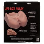 Stroke It Life-Size Pussy - Brown - Image 4