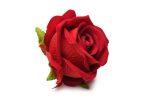 The Rose Lover's Gift Box Bloomgasm - Red - Image 6