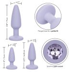 First Time Crystal Booty Kit - Purple - Image 6