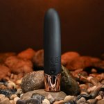 The Gold Standard - Black - Image 7