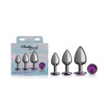 Purple Round Gem Anal Trainer Kit - Gunmetal - Image 5