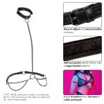 Euphoria Collection Plus Size Chain Halter/collar and Leash - Black - Image 2