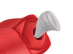 Bloomgasm Romping Rose Suction and Thrusting Vibrator - Red - Image 3