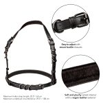 Euphoria Collection Halter Buckle Harness - Black - Image 3