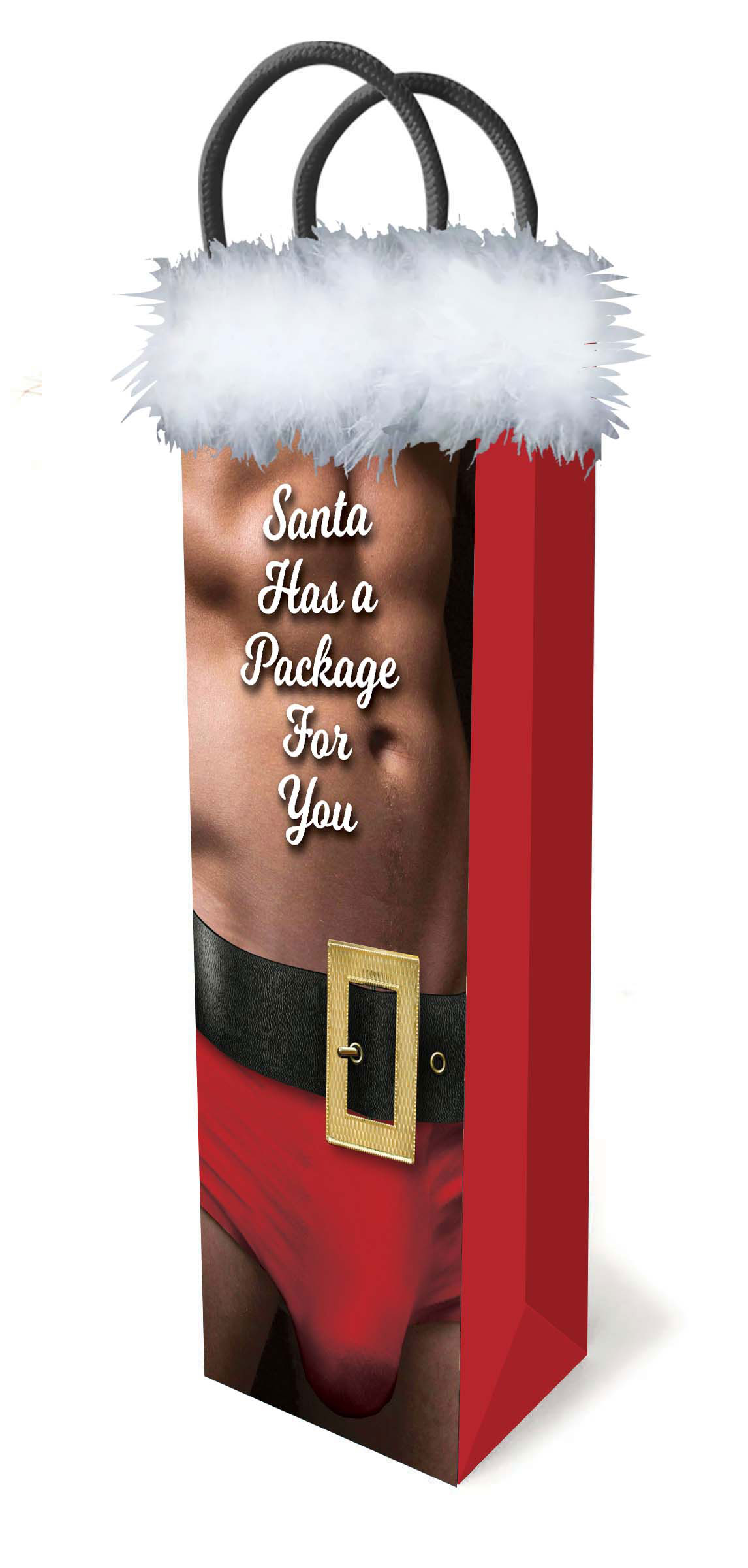 Yr9sJChs8XFl9H1mCDXmaLYJ2kroc5fE Santa Has a Big Package for You - Image 1