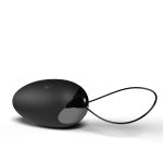 Premium Dual Vibe Remote and Egg - Black - Image 2