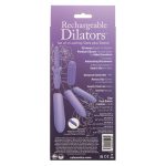 Dr. Laura Berman Rechargeable Dilators Set of 4 Locking Sizes Plus Sleeve - Purple - Image 2