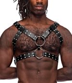 Gemini Leather Harness - One Size - Black - Image 5