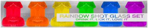 e9e21503abede1505cc26839d1b20803 Rainbow Shot Glass Set - Image 1