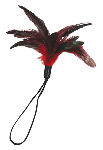 f003e253880547a9e62d1edc56b2b252 Pleasure Feather - Red - Image 1