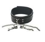 Coveted Collar and Clamp Union - Image 2