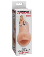 Pdx Coed Cocksucker - Image 4