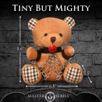 Gagged Teddy Bear Plush - Image 5