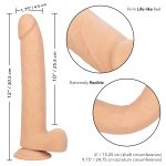 Size Queen 10 inch/25.5 Cm - Ivory - Image 3