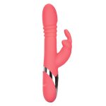 Enchanted Exciter - Image 2