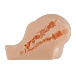 Kylie Realistic Vagina and Ass Vibrator - Light - Image 6