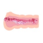 Crazy Bull Vagina Masturbator - Image 3