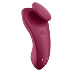 Sexy Secret - Panty Vibrator - Image 2