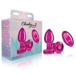 Vibrating Pink Metal Remote Plug - Medium - Image 8