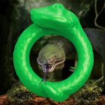 Serpentine Silicone Cock Ring - Green - Image 6
