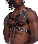 Gemini Leather Harness - One Size - Black - Image 4