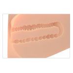 Pdx Plus Ez Bang Torso - Light - Image 5