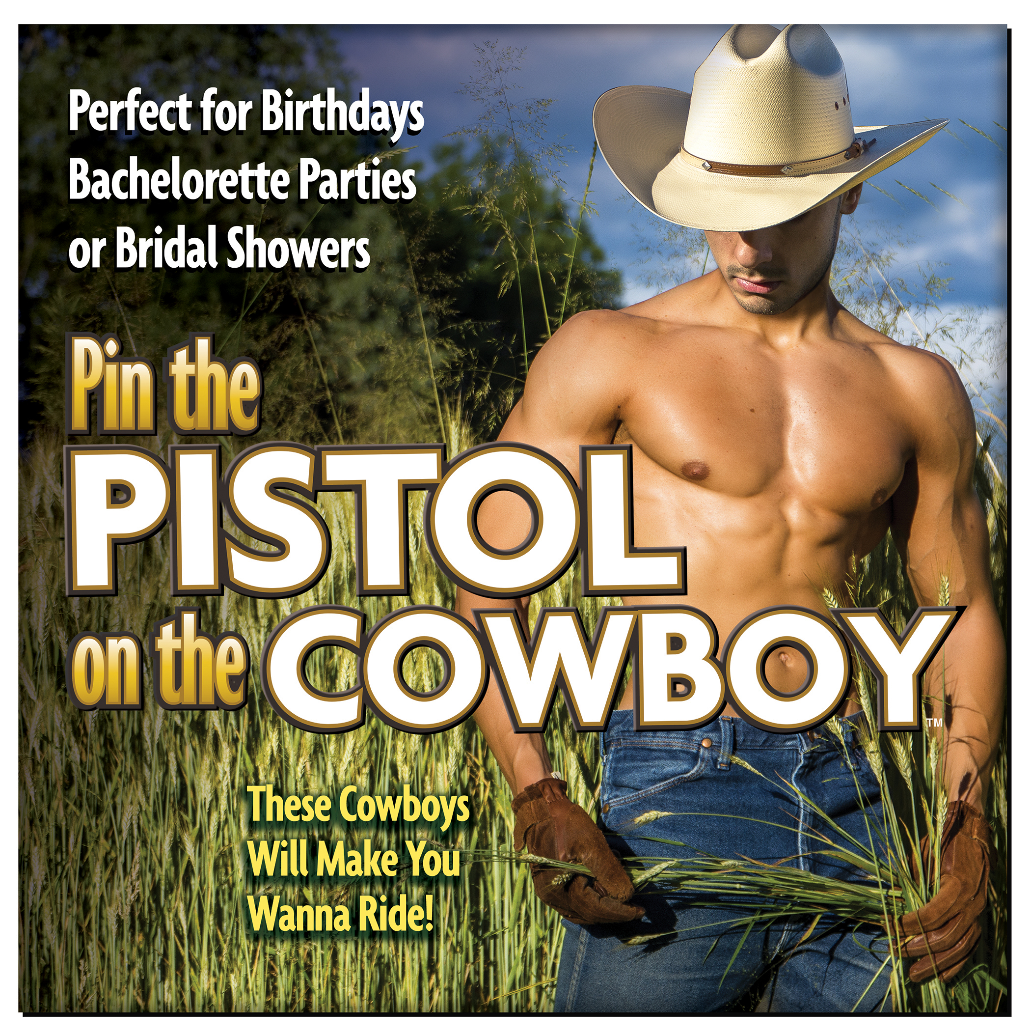orhzEryLwB8qZU3xUnUKASyupKea0Vim Pin the Pistol on the Cowboy - Image 1