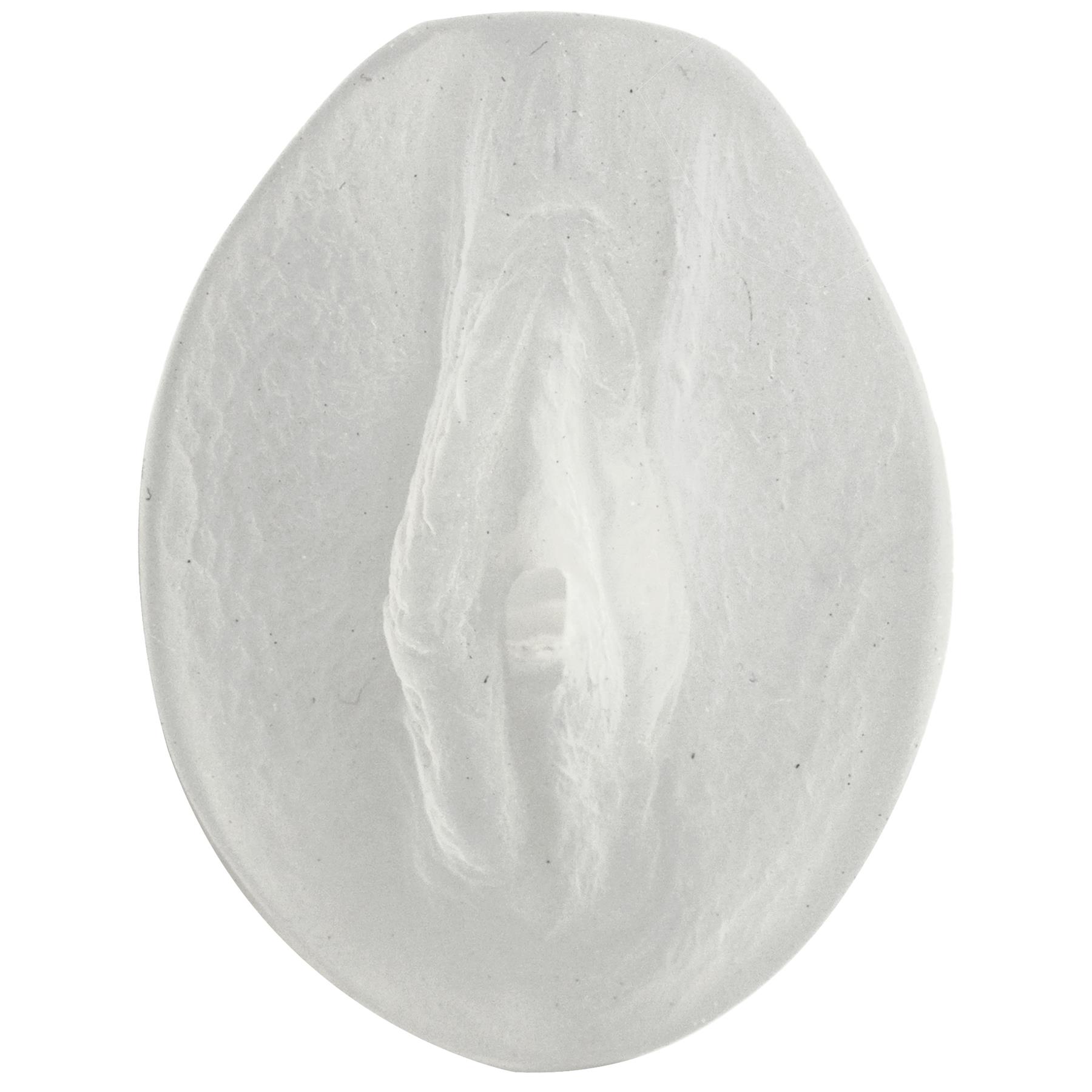 uD1sVss19lLSTaq9pAqEdoV7HqtAQjnx Palm Pal Frosted Ultraskyn Masturbator - Pussy - Clear - Image 1
