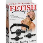 Fetish Fantasy Series Ball Gag Training System