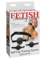 Fetish Fantasy Series Ball Gag Training System - Image 2