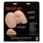 Stroke It Life-Size Ass - Ivory - Image 7