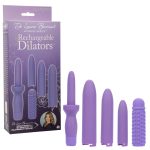 Dr. Laura Berman Rechargeable Dilators Set of 4 Locking Sizes Plus Sleeve - Purple - Image 2