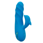 California Dreaming Summer Lovin' Frisco Fantasy Blue - Image 3