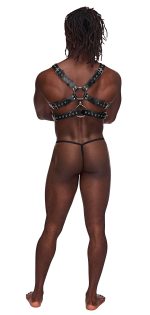 Gemini Leather Harness - One Size - Black - Image 3