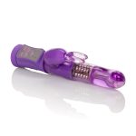 Shanes World Jack Rabbit G - Purple - Image 3